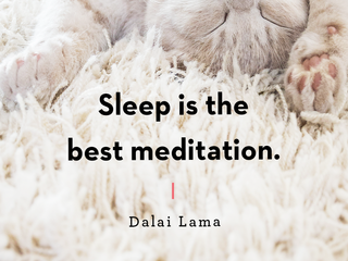 On the Importance of Sleep