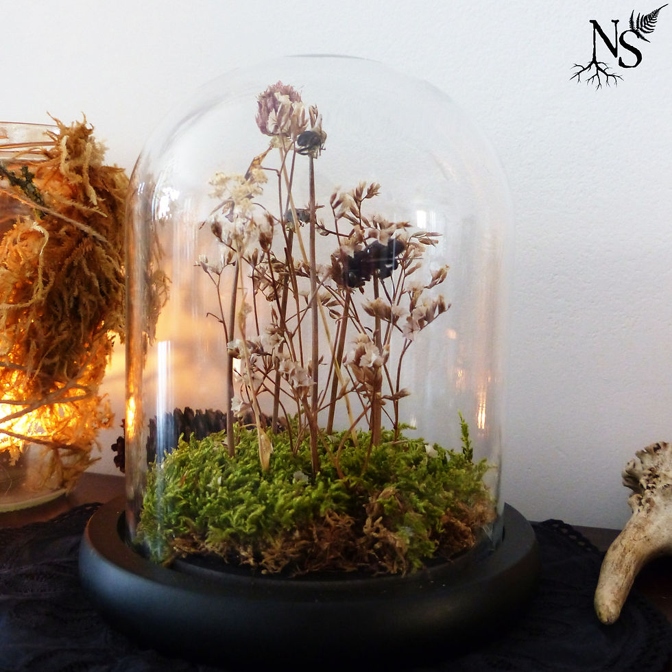 Miniature : Buzzy flight