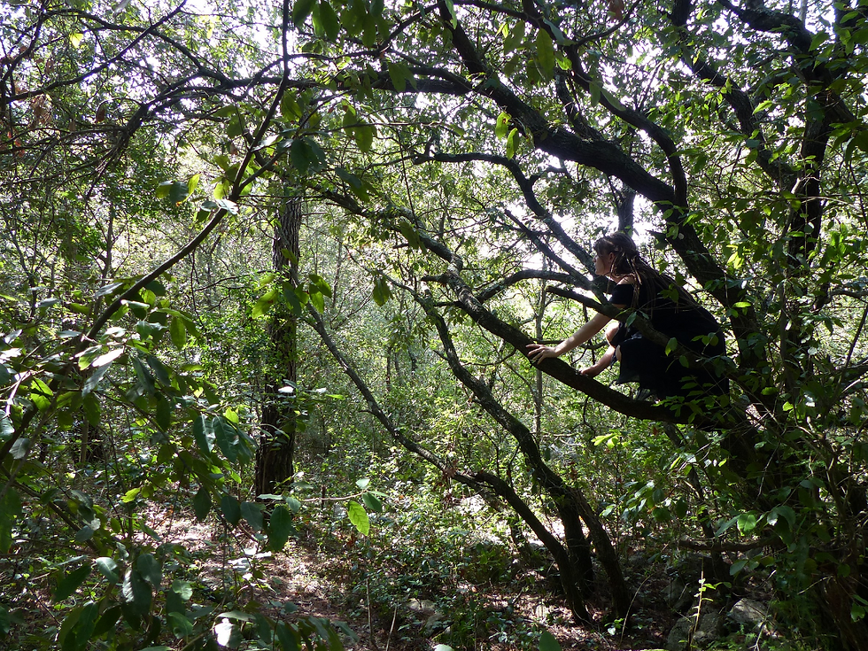 Une femme est accroupie en hauteur dans les branches d'un arbre, à la façon d'une dryade.