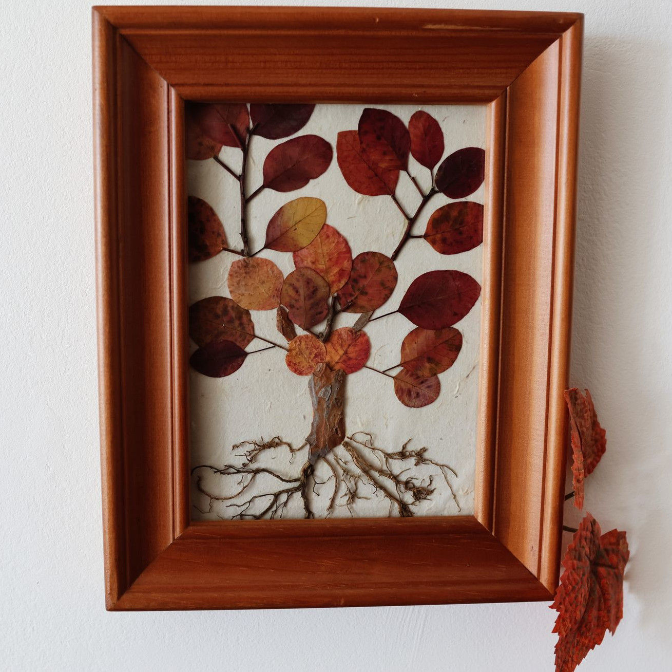 Shop Crismon Cloak frame representing a fall tree with real pressed leaves bark branches and roots