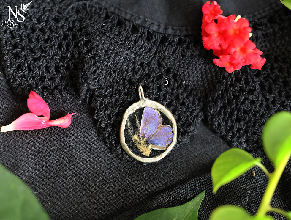 Miniature : A pendant containing a butterfly design with real butterfly wings