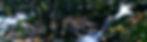 P1260292-full-sans-logo_edited.jpg