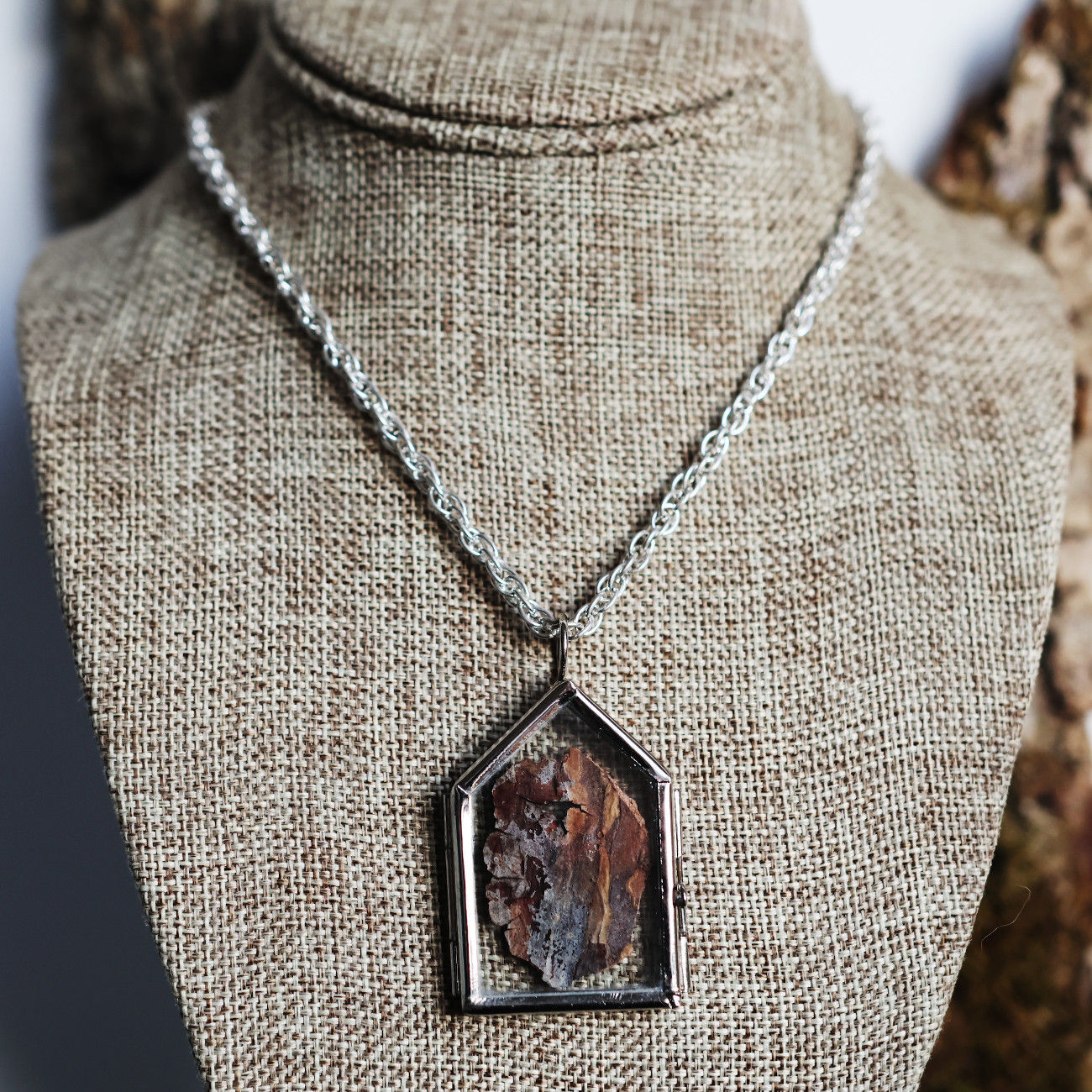 A necklace like a Protection Talisman with a glass medallion showing a real piece of tree bark