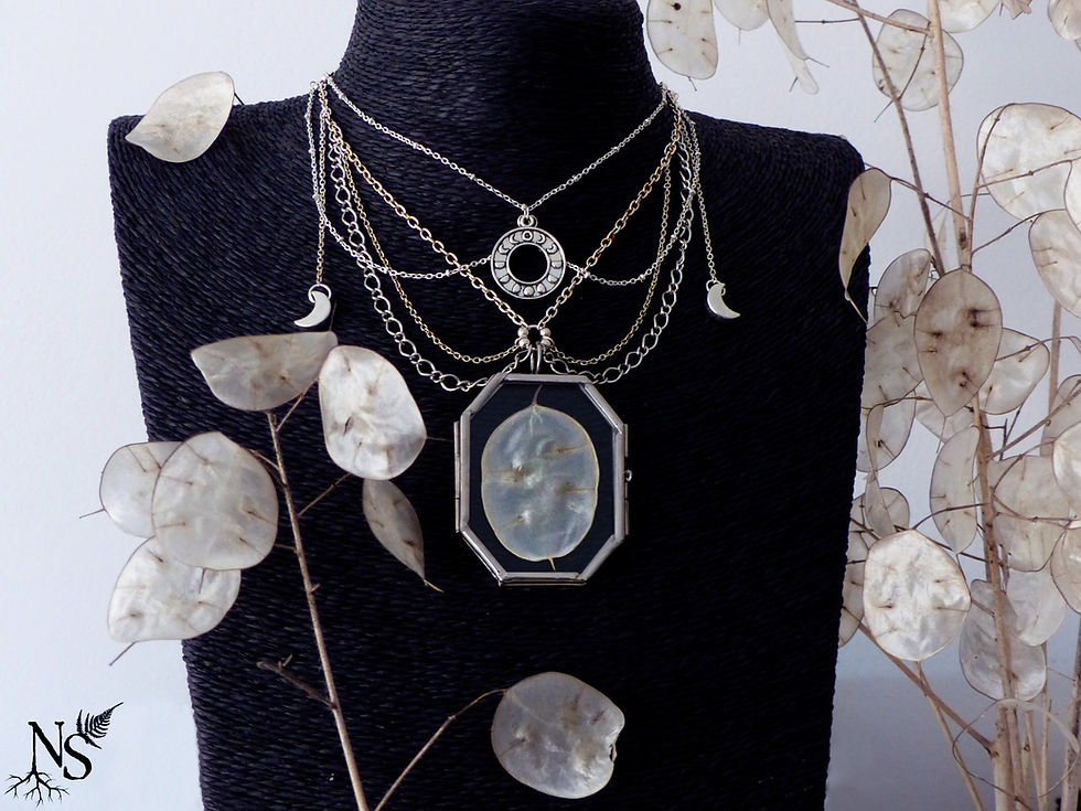 Thumbnail: an intricate necklace with elegant silver chains, a Lunaria disc within a glass locket and Moon charms