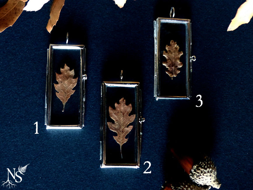 Thumbnail: 3 médaillons en verre contenant une feuille de chêne
