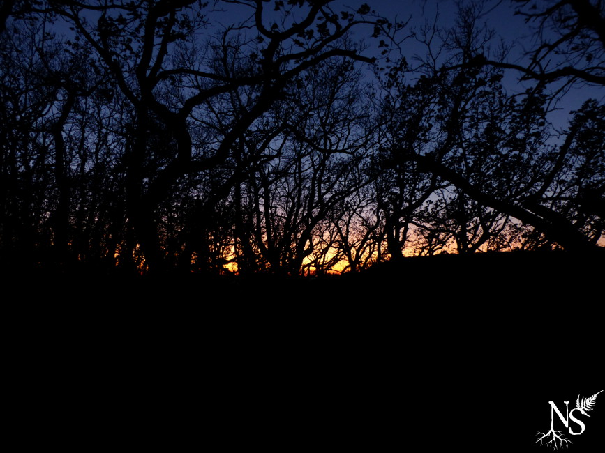 Winter sunset ❉ Coucher de soleil hivernal