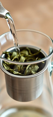 a small glass pitcher with stainless steel infuser filled with tightly rolled tea leaves o