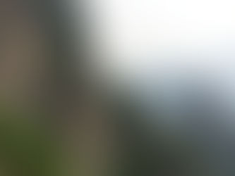 China's Wuyi Mountains