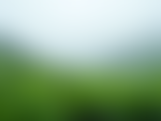 Unveiling the Stories Behind Rare Tea Origins