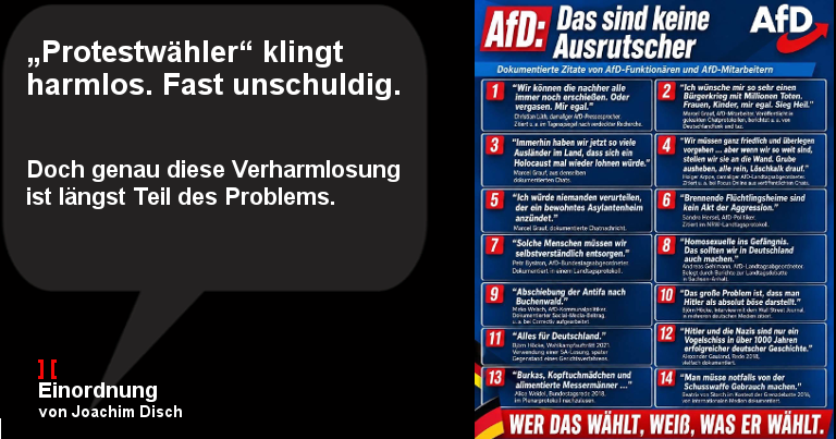 „Protestwähler“ klingt harmlos. Fast unschuldig.