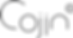 cojin_logo1_edited.png