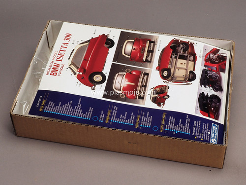 BMW ISETTA 300 1/24 グンゼ　ハイテックモデル BMW ISETTA 300 1/24 GUNZE SANGYO High -tech model RARE