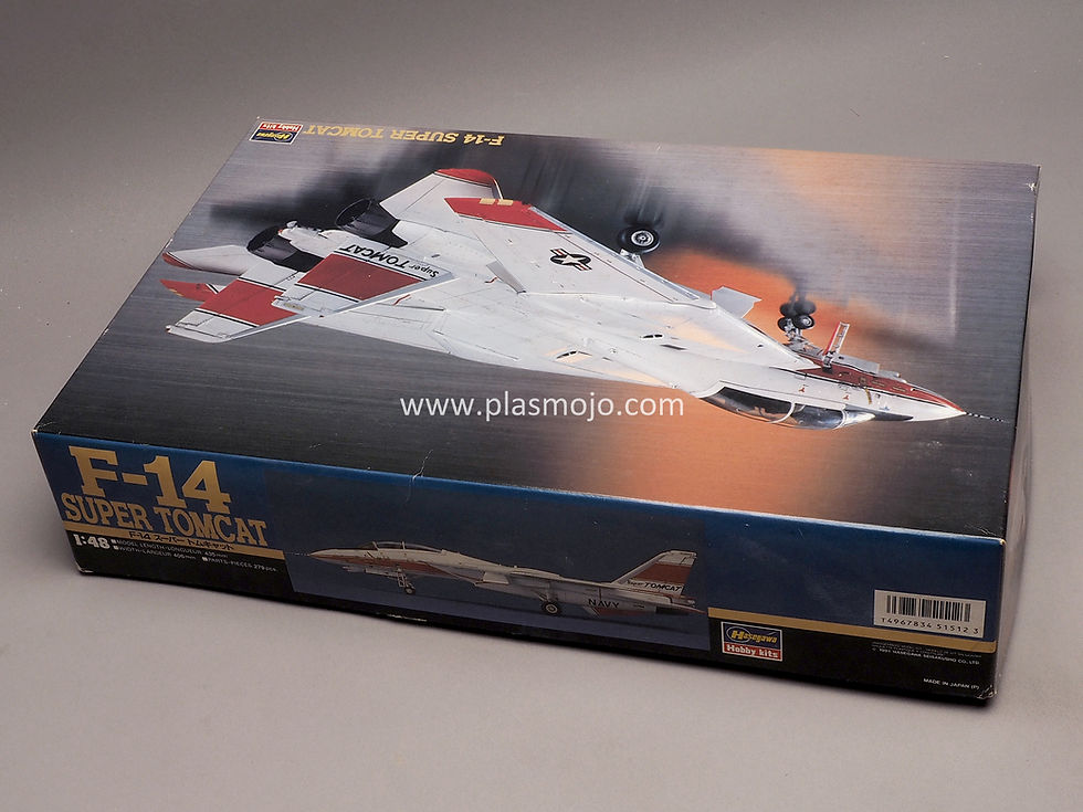 Thumbnail: Hasegawa 1/48 F-14 Super Tomcat (#SP12)