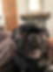 484acc90-28b3-4b3c-a4d7-f1c86a01804d.heic