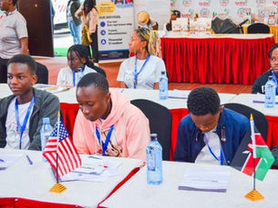 Young African Entrepreneurs