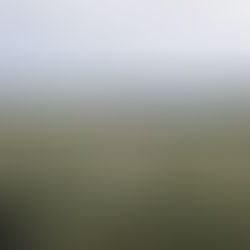 Post Covid Leadership