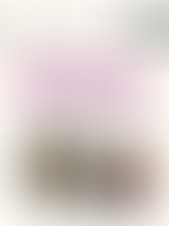 EVENTO MÊS JULHO/22