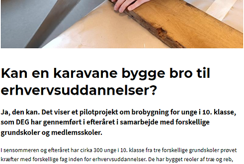 Artikel om brobygning i folkeskolen