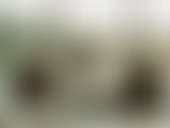 2026 오피 공간 최신 변화