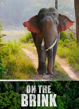 On the Brink Poster for Website.jpg