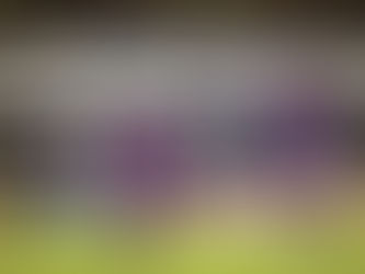 Newcastle 3-2 Barcelona