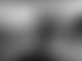 Newcastle 2-0 Blackpool