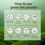 섬네일: Korean Green Tea Powder (Boseong) 100%_300g, 500g, 800g