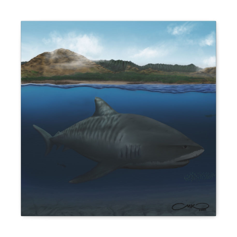 Thumbnail: Ke Kiaʻi o Waiʻanae Canvas Gallery Wraps