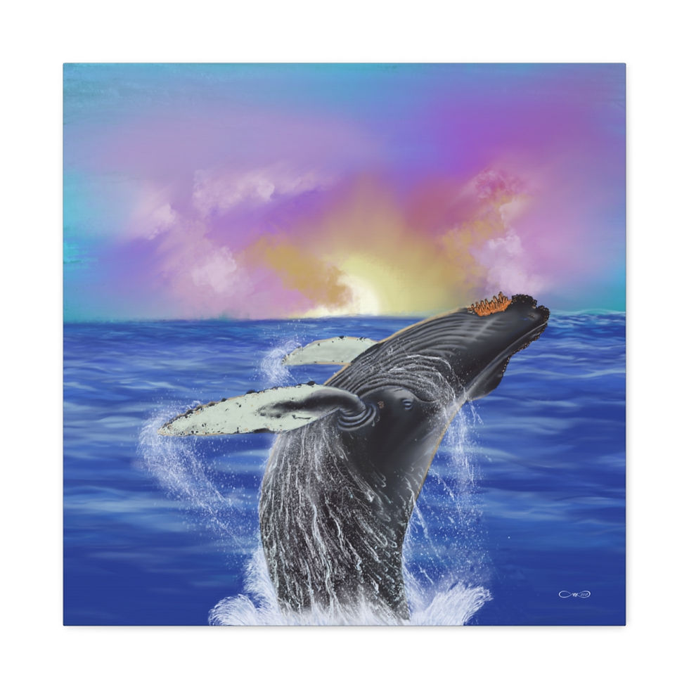 Thumbnail: Happy Day Humpback - Canvas Gallery Wraps