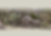 GH_Banner_Mobility2.jpg