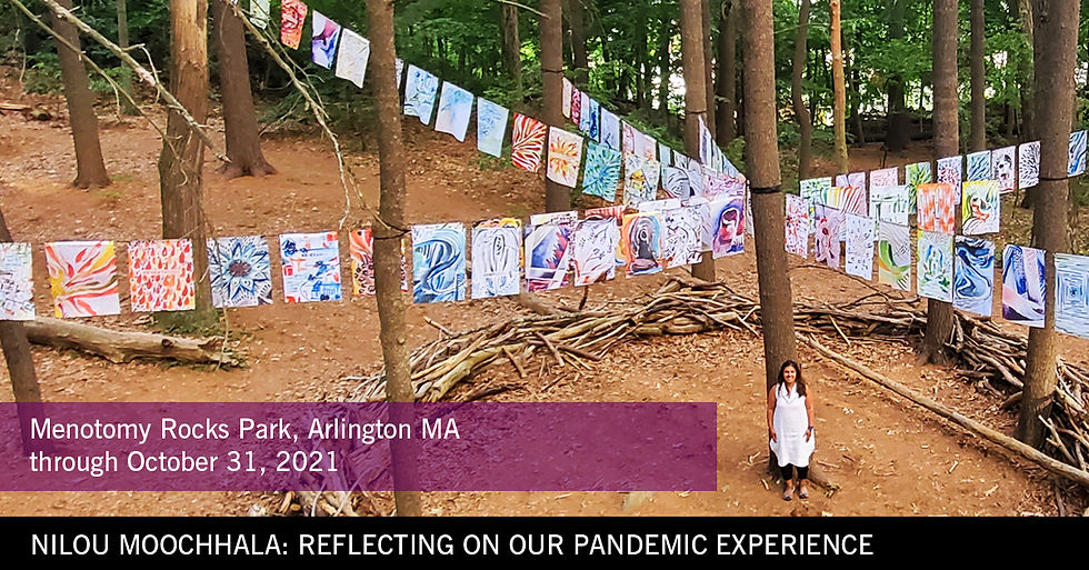 Exploring our Pandemic Experience