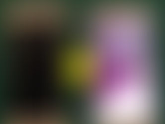 友人からの依頼