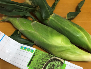 6月2日のありがとう