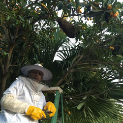 1450784_1092969630769620_4462695932844073781_n