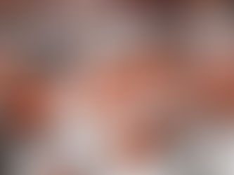 Next Up: Texas 2025 Season Preview