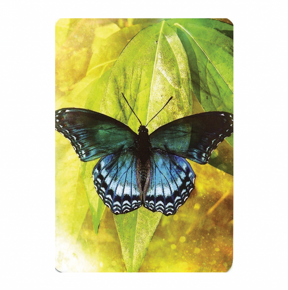Thumbnail: Butterfly Affirmations
