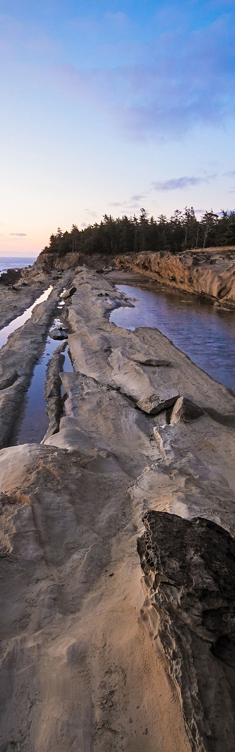 Shoreline.jpg