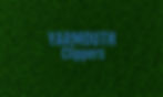 Grass Texture_edited