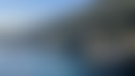 Another Turkish Snip