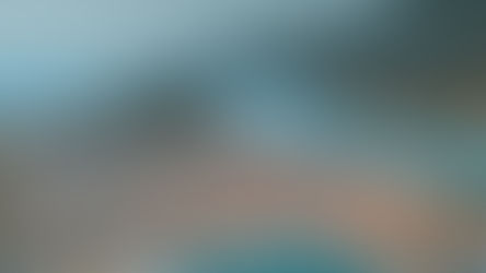 Chartering option not attractive