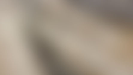 In search of Lesbians