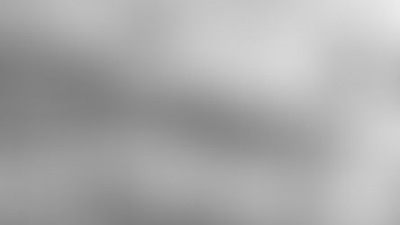 The first and last Doge