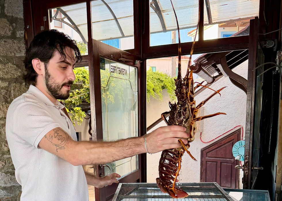 Lobster before...
