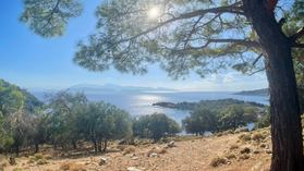 Missy Bear arrives at Gocek