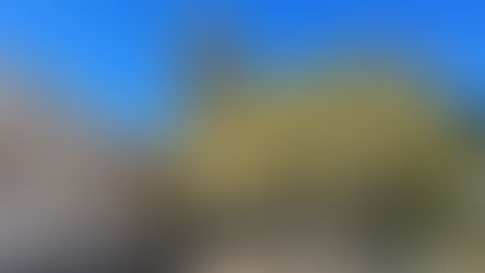 Tanks at Pooh Corner