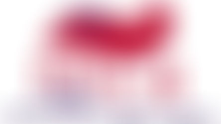 Applying for ship's papers