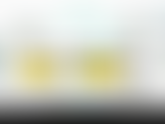                כמה עולה הישיבה על הגדר ?