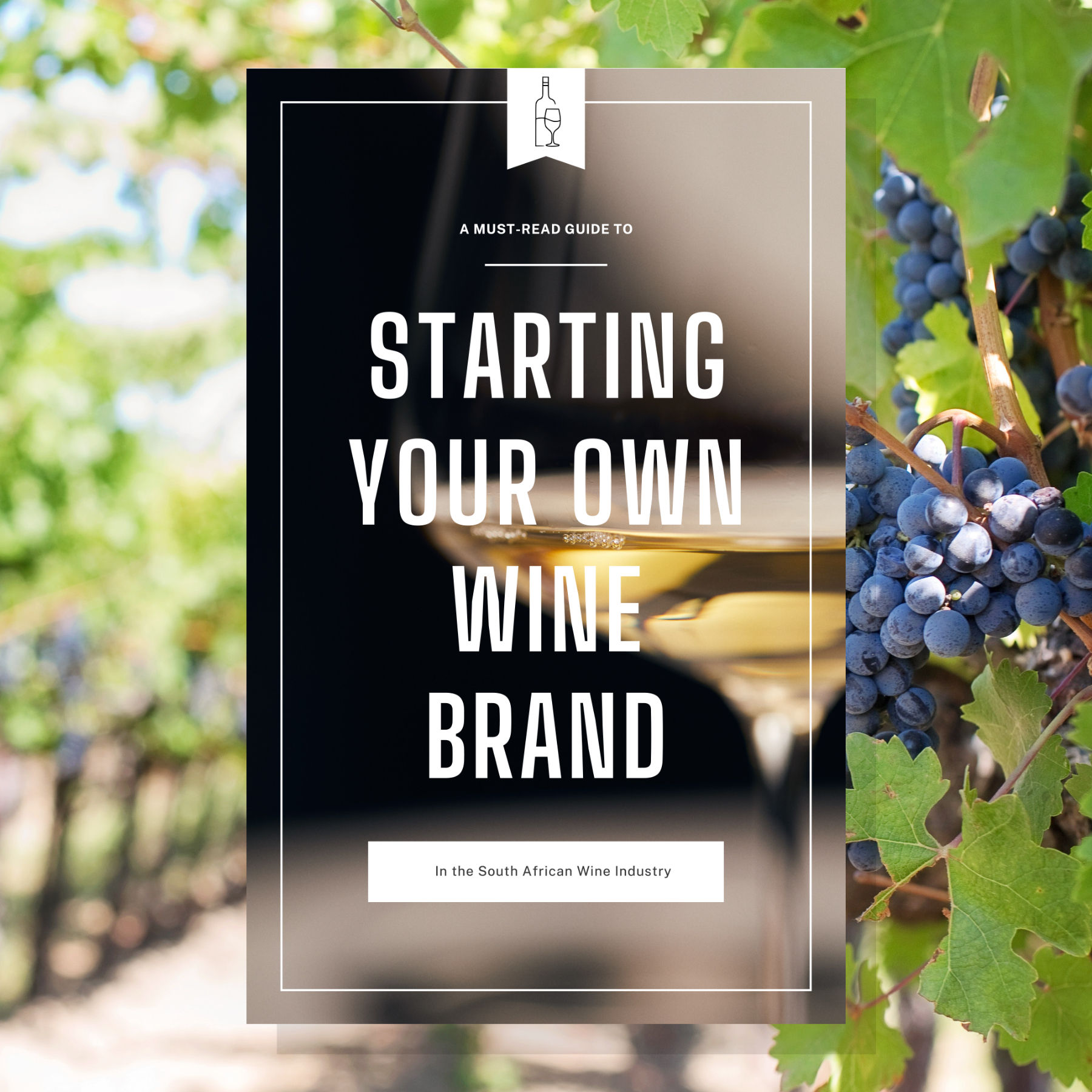 A Guide to Start your Own Wine Brand (E-Book)