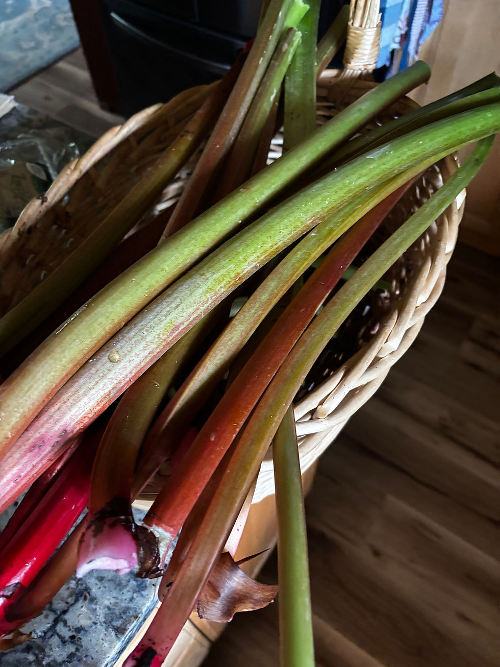 Rhubarb Bbq sauce
