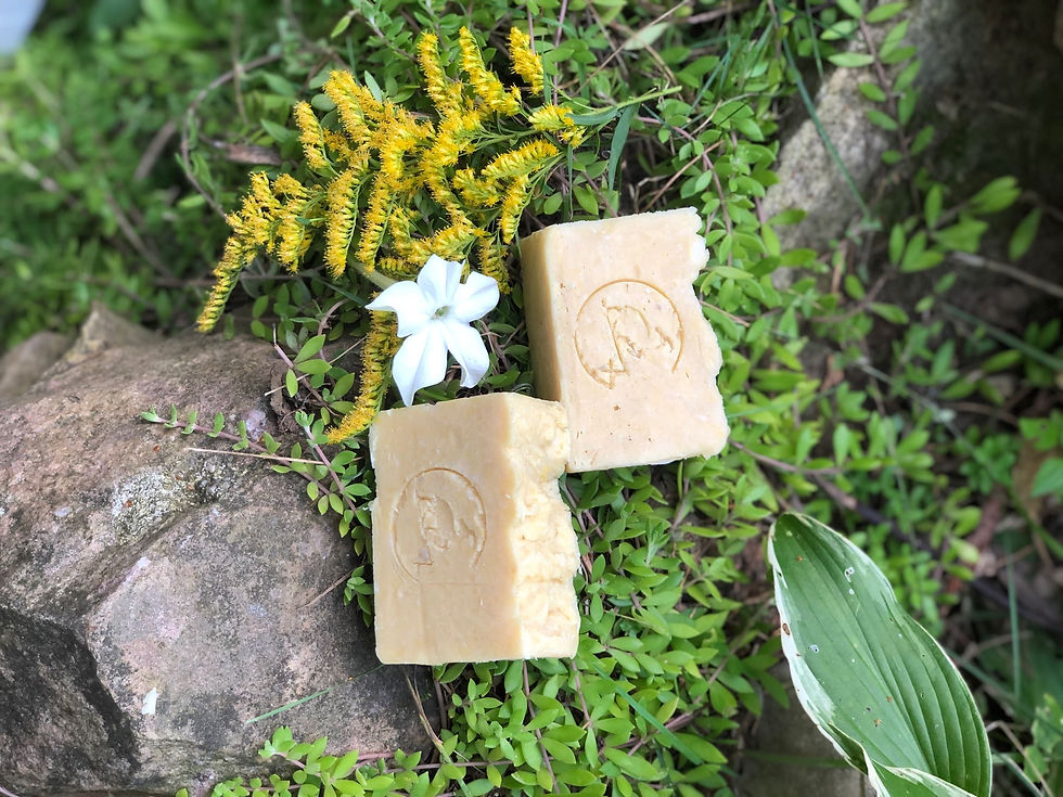 Thumbnail: Sweet Honeysuckle Goats milk soap